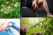 Vegetable Benefits: পুষ্টির ভান্ডার! গেঁটে বাত, কোষ্ঠকাঠিন্য, ব্লাড সুগার-সহ ৩০০ রোগে শক্তিশেল এই সবজির গাছ! শিকড় থেকে উপড়ে ফেলে ৩০০ রকম বিষাক্ত বিপদকে