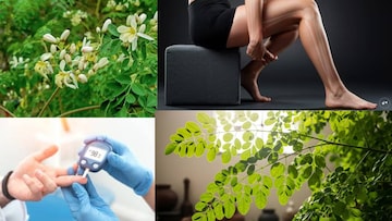 পুষ্টির ভান্ডার! গেঁটে বাত, কোষ্ঠকাঠিন্য, ব্লাড সুগার-সহ ৩০০ রোগে শক্তিশেল এই সবজির গাছ! শিকড় থেকে উপড়ে ফেলে ৩০০ রকম বিষাক্ত বিপদকে পুষ্টির ভান্ডার! গেঁটে বাত, কোষ্ঠকাঠিন্য, ব্লাড সুগার-সহ ৩০০ রোগে শক্তিশেল এই সবজির গাছ! শিকড় থেকে উপড়ে ফেলে ৩০০ রকম বিষাক্ত বিপদকে