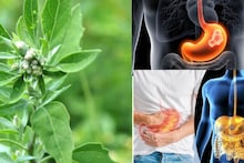 Saag in Digestion: সস্তার শাকে গলগলিয়ে সাফ বিষাক্ত জিনিস! গ্যাস অম্বল পেট ফাঁপা সারিয়ে নিন নামমাত্র খরচে