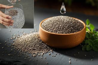 চিয়া বীজ ‘এঁদের’ জন্য বিপদের খনি! ভুলেও মুখে দেবেন না এই ‘৫’ জন! ঝাঁঝরা হয়ে বারোটা বাজবে শরীরের!