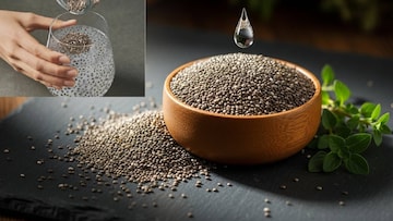 চিয়া বীজ ‘এঁদের’ জন্য বিপদের খনি! ভুলেও মুখে দেবেন না এই ‘৫’ জন! ঝাঁঝরা হয়ে বারোটা বাজবে শরীরের! চিয়া বীজ ‘এঁদের’ জন্য বিপদের খনি! ভুলেও মুখে দেবেন না এই ‘৫’ জন! ঝাঁঝরা হয়ে বারোটা বাজবে শরীরের!