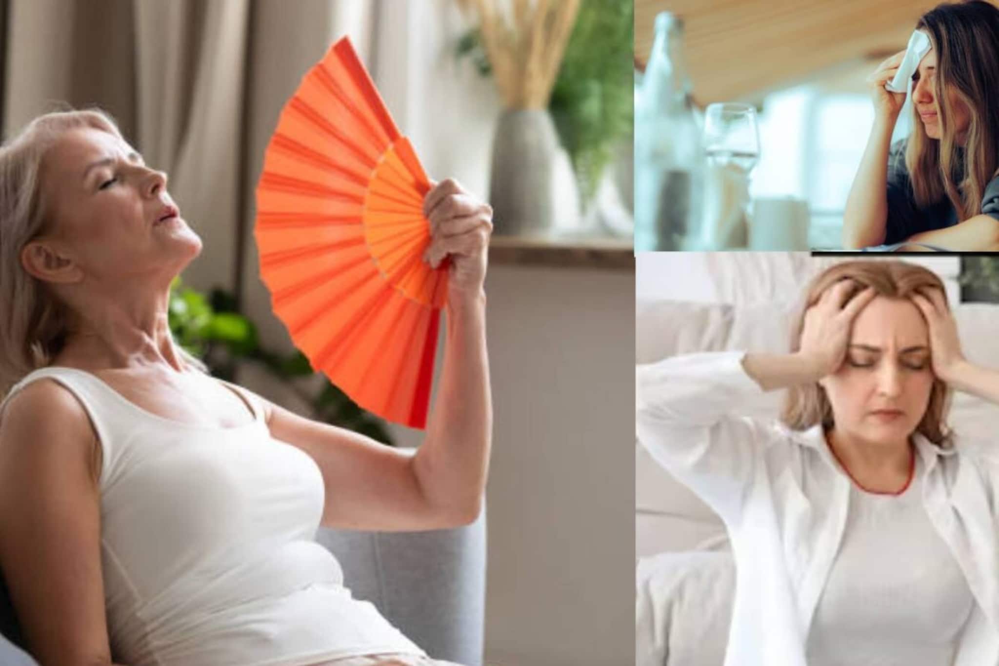 মেনোপজ আসছে বুঝবেন কী করে? মহিলারা চিনে নিন ঋতুস্রাব চিরকালের জন্য বন্ধ হতে চলার লক্ষণগুলি মেনোপজ আসছে বুঝবেন কী করে? মহিলারা চিনে নিন ঋতুস্রাব চিরকালের জন্য বন্ধ হতে চলার লক্ষণগুলি