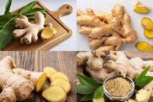 Ginger Side Effects: রোজ গাদা গাদা আদা খান? সর্বনাশ হবে শরীরের! জানুন বেশি আদা খাওয়া কাদের জন্য বিপদের চোরা ফাঁদ!