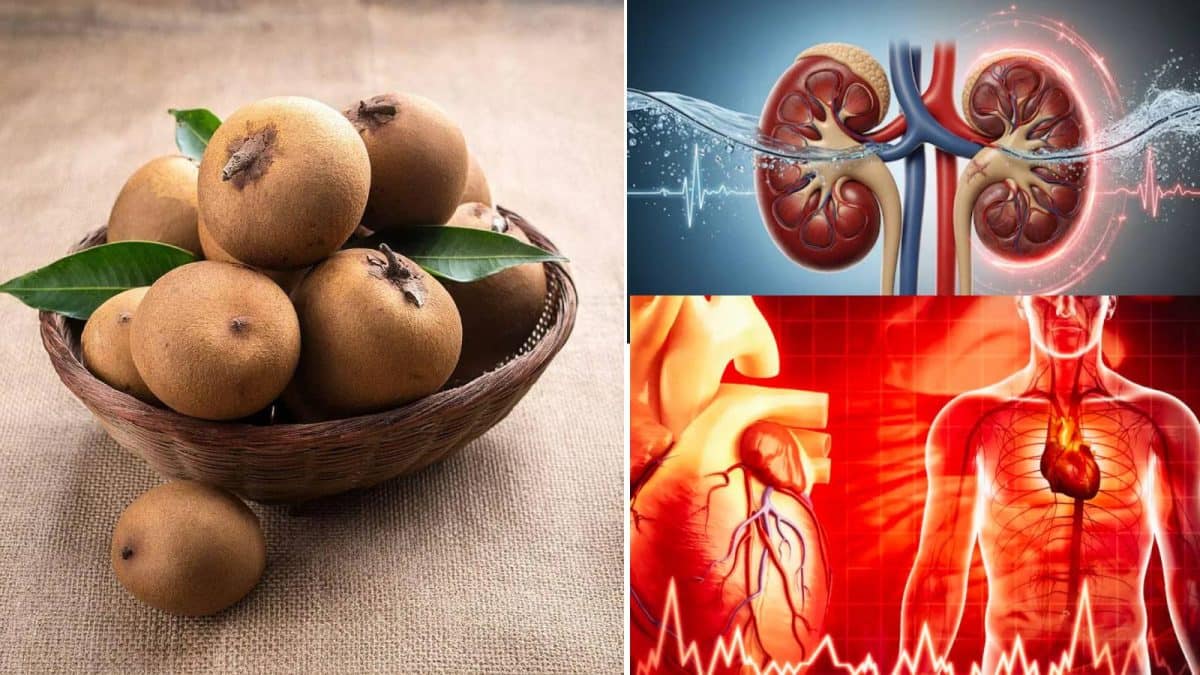 Kideny & Heart: আলুর মতো দেখতে ফলেই জব্দ অ্যানিমিয়া ও ব্লাড প্রেশার! কাছে আসবে না কিডনি, হার্টের রোগ Kideny & Heart: আলুর মতো দেখতে ফলেই জব্দ অ্যানিমিয়া ও ব্লাড প্রেশার! কাছে আসবে না কিডনি, হার্টের রোগ