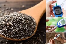 Chia Seeds in Blood Sugar: ডায়াবেটিসের মধ্যে রোজ রোজ চিয়া বীজ খান? চড়চড়িয়ে বাড়বে রক্তে শর্করা? ব্লাড সুগারে চিয়া বীজ আদৌ খাওয়া যায় কিনা জানুন