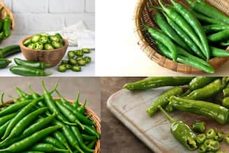  ‘৬’ বিশেষ চিহ্নের সহজ টিপস! দেখেই বুঝে যান কোন কাঁচালঙ্কায় তীব্র ঝাল! খেলেই ঝাঁঝের চোটে জল আসবে চোখে