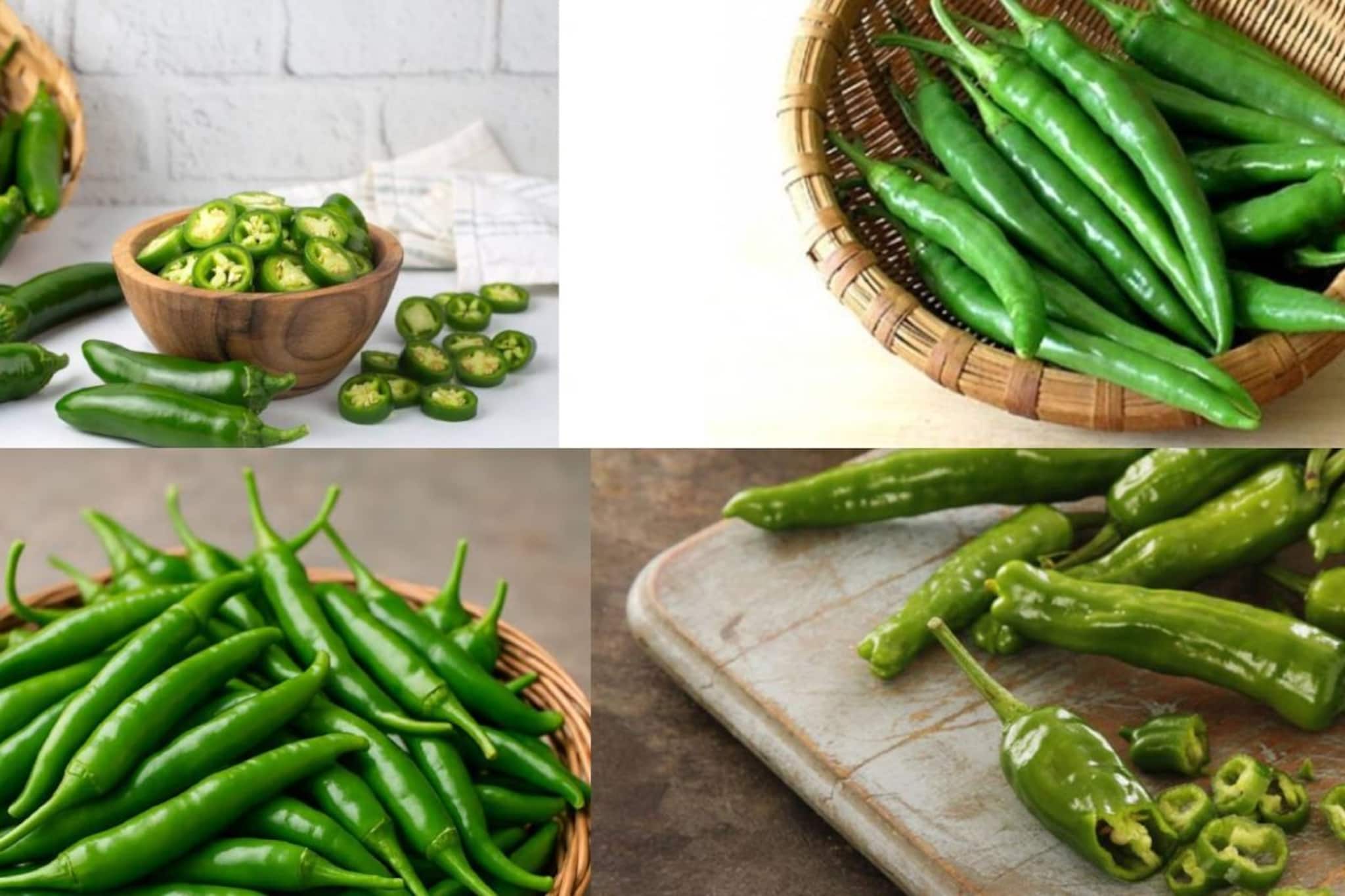 ‘৬’ বিশেষ চিহ্নের সহজ টিপস! দেখেই বুঝে যান কোন কাঁচালঙ্কায় তীব্র ঝাল! খেলেই ঝাঁঝের চোটে জল আসবে চোখে ‘৬’ বিশেষ চিহ্নের সহজ টিপস! দেখেই বুঝে যান কোন কাঁচালঙ্কায় তীব্র ঝাল! খেলেই ঝাঁঝের চোটে জল আসবে চোখে