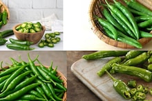 Kitchen Hacks: Green Chiili: ‘৬’ বিশেষ চিহ্নের সহজ টিপস! দেখেই বুঝে যান কোন কাঁচালঙ্কায় তীব্র ঝাল! খেলেই ঝাঁঝের চোটে জল আসবে চোখে