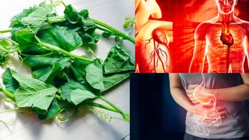 মাচায় লতিয়ে বেড়ে ওঠা সস্তার শাকেই কুপোকাত কোলেস্টেরল, হার্টের রোগ, গাঁটের ব্যথা থেকে কোষ্ঠকাঠিন্য! বাজার থেকে কিনতে ভুলবেন না!