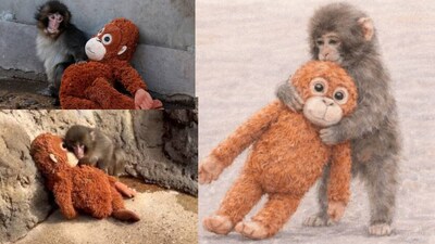 সম্প্রতি পাঞ্চের মো নামের একজন প্রেমিকা জুটেছে