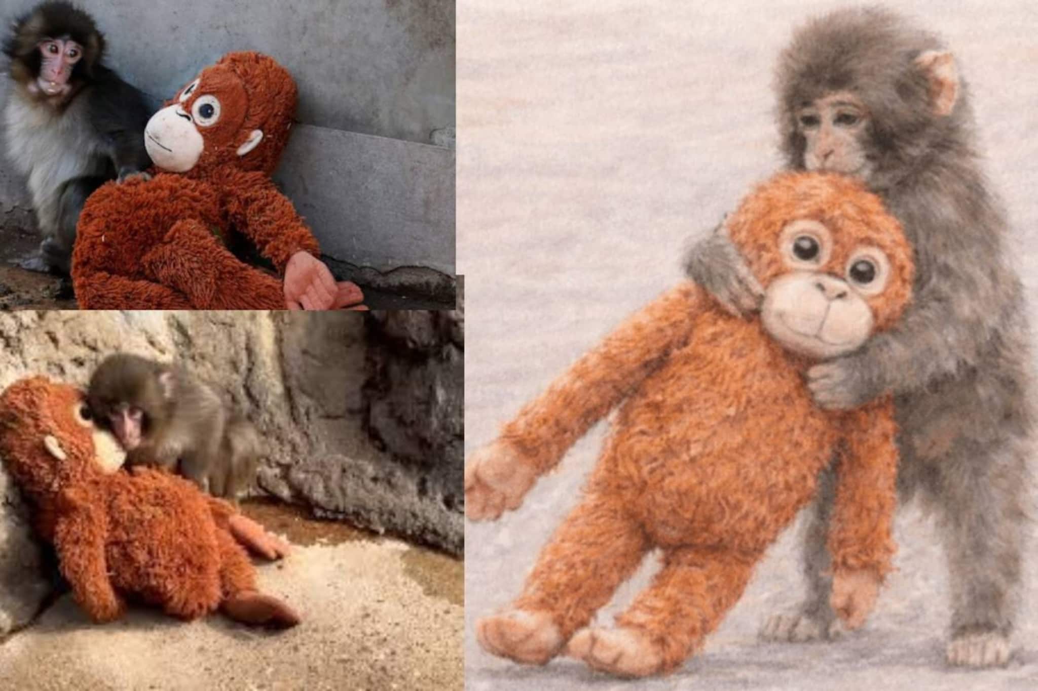 কাটল নিঃসঙ্গতা, ভরা বসন্তে প্রেমিকার সঙ্গে অন্তরঙ্গ মুহূর্তে চুম্বনে মশগুল ‘পাঞ্চ’! ফের ভাইরাল জাপানের ম্যাকক শাবক