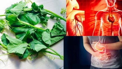 भोपळ्याची पाने: कोलेस्ट्रॉल, हृदयविकार, सांधेदुखी आणि बद्धकोष्ठतेवर रामबाण उपाय!