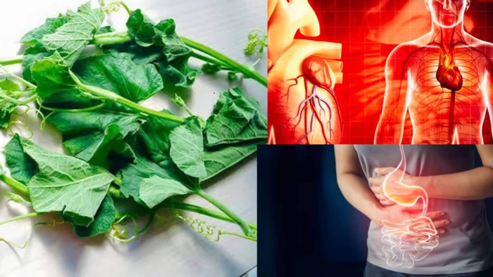 Saag to control Heart Disease: মাচায় লতিয়ে বেড়ে ওঠা সস্তার শাকেই কুপোকাত কোলেস্টেরল, হার্টের রোগ, গাঁটের ব্যথা থেকে কোষ্ঠকাঠিন্য! বাজার থেকে কিনতে ভুলবেন না!