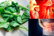 Saag to control Heart Disease: মাচায় লতিয়ে বেড়ে ওঠা সস্তার শাকেই কুপোকাত কোলেস্টেরল, হার্টের রোগ, গাঁটের ব্যথা থেকে কোষ্ঠকাঠিন্য! বাজার থেকে কিনতে ভুলবেন না!