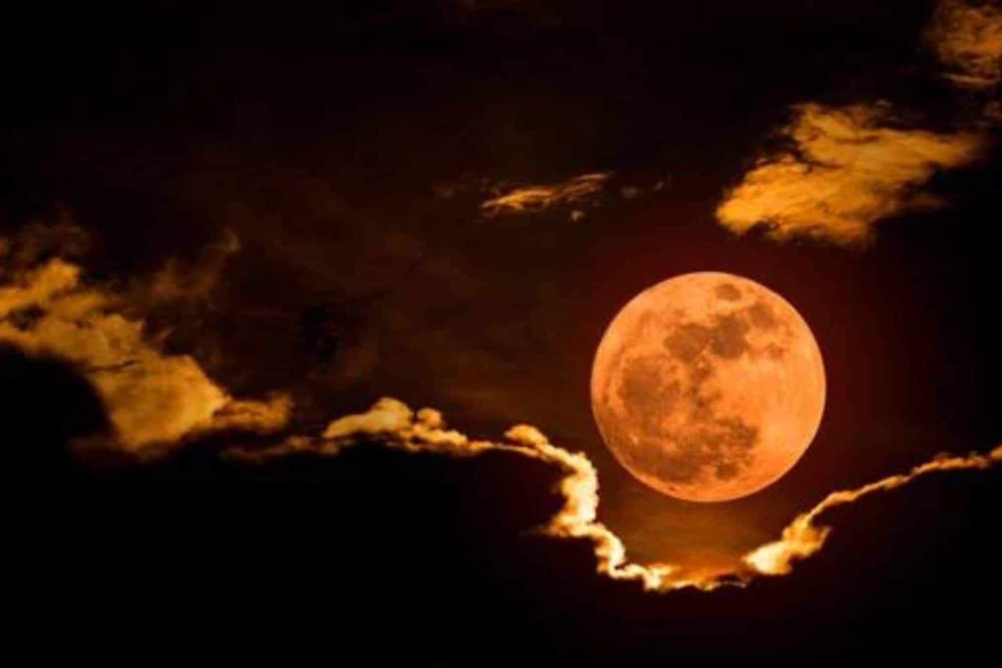 মঙ্গলে দোলপূর্ণিমায় চন্দ্রগ্রহণ! খাবেন না ২ সবজি! অর্থকষ্ট অশান্তি অসুখে ছারখার সংসার!