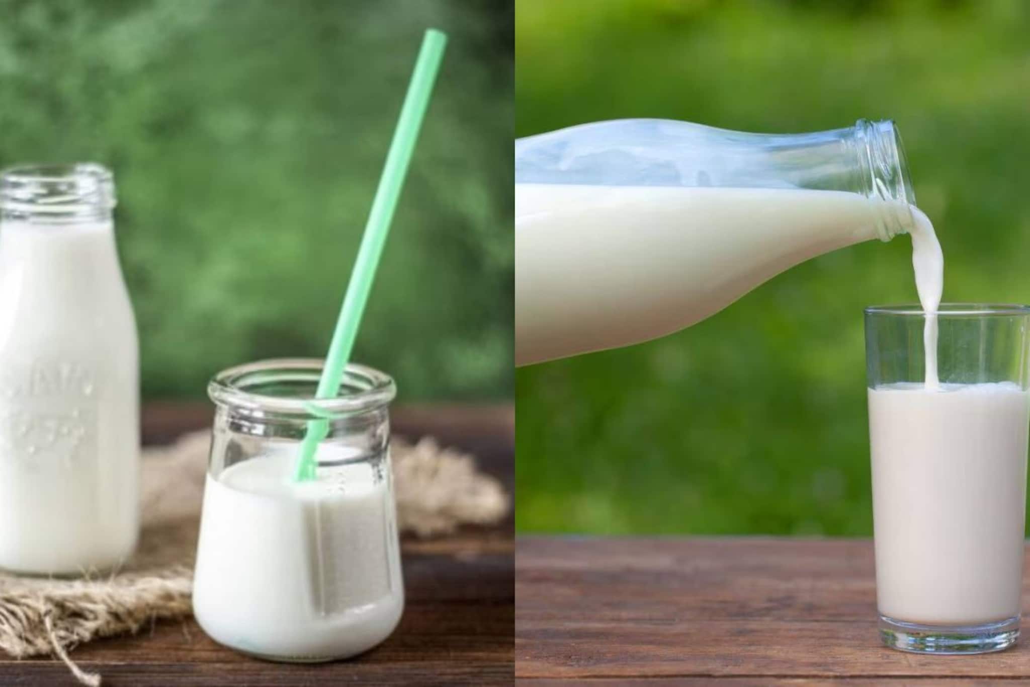 ছোট্ট কথা...মনে রাখলেই মুশকিল আসান! শত গরমেও নষ্ট হবে না প্যাকেটের দুধ...জানুন সহজ টিপস