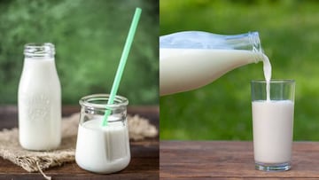 ছোট্ট কথা...মনে রাখলেই মুশকিল আসান! শত গরমেও নষ্ট হবে না প্যাকেটের দুধ...জানুন সহজ টিপস