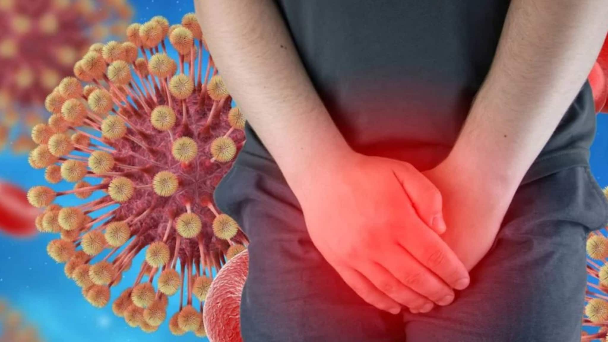 Herpes Symptoms: মুখ, ঠোঁট, চোখ, গোপনাঙ্গে ফোসকা-ফুসকুড়ির মতো ত্বক সংক্রমণ? হতে পারে এই ভয়ঙ্কর রোগ! জানুন লক্ষণ ও বাঁচার উপায়!