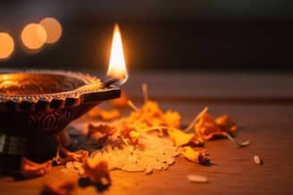 পাপমোচনী একাদশীতে ভগবান শ্রী হরি বিষ্ণু ও দেবী লক্ষ্মীর পুজোয় দেবেন না এই ১ ফল! তছনছ সংসার! সুখ-সমৃদ্ধি-অর্থবৃষ্টি পেতে একটু হলেও খান এগুলি