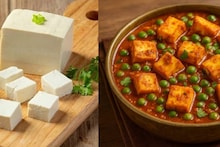 Paneer Side Effects: পনির এঁদের জন্য ক্ষতির আড়ত! কারা এটা খেলেই দফারফা শরীরের? জানুন দিনের কোন সময়ে এই খাবার ভুলেও তুলবেন না মুখে