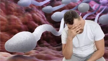 এই ‘৭’ কারণে শরীরে হু হু করে কমে যায় শুক্রাণু! কমে যায় উদ্দামতা! সন্তান উৎপাদনে সমস্যা! পুরুষরা মন দিয়ে পড়ুন!