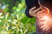 Indigestion & Constipation: তিতো গাছের সস্তা ছোট্ট সাদা ফুলের গুণেই ধুয়েমুছে সাফ কোষ্ঠকাঠিন্য! জব্দ বদহজম! নির্বংশ কৃমি