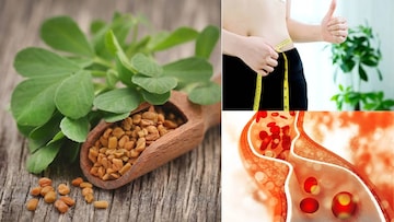 ১ চামচ মেথিদানা এভাবে খেলে গলবে মেদ! কোষ্ঠকাঠিন্যের মহৌষধ! কোলেস্টেরল ডায়াবেটিসে ধন্বন্তরি