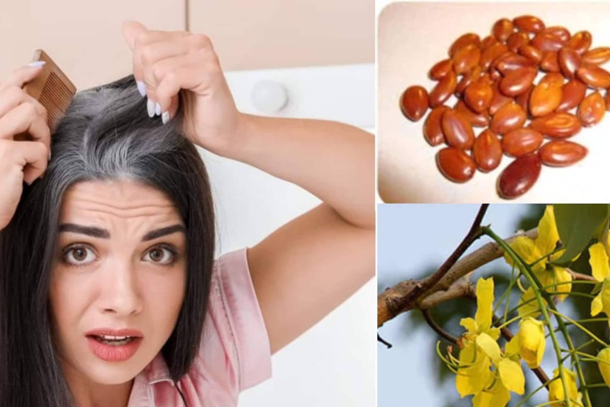 গোল্লায় যাক কলপ-কালার-পার্লারের খরচ! ফুলের বীজেই কালো হবে আপনার মাথাভর্তি সাদা চুল!