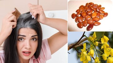 গোল্লায় যাক কলপ-কালার-পার্লারের খরচ! ফুলের বীজেই কালো হবে আপনার মাথাভর্তি সাদা চুল!