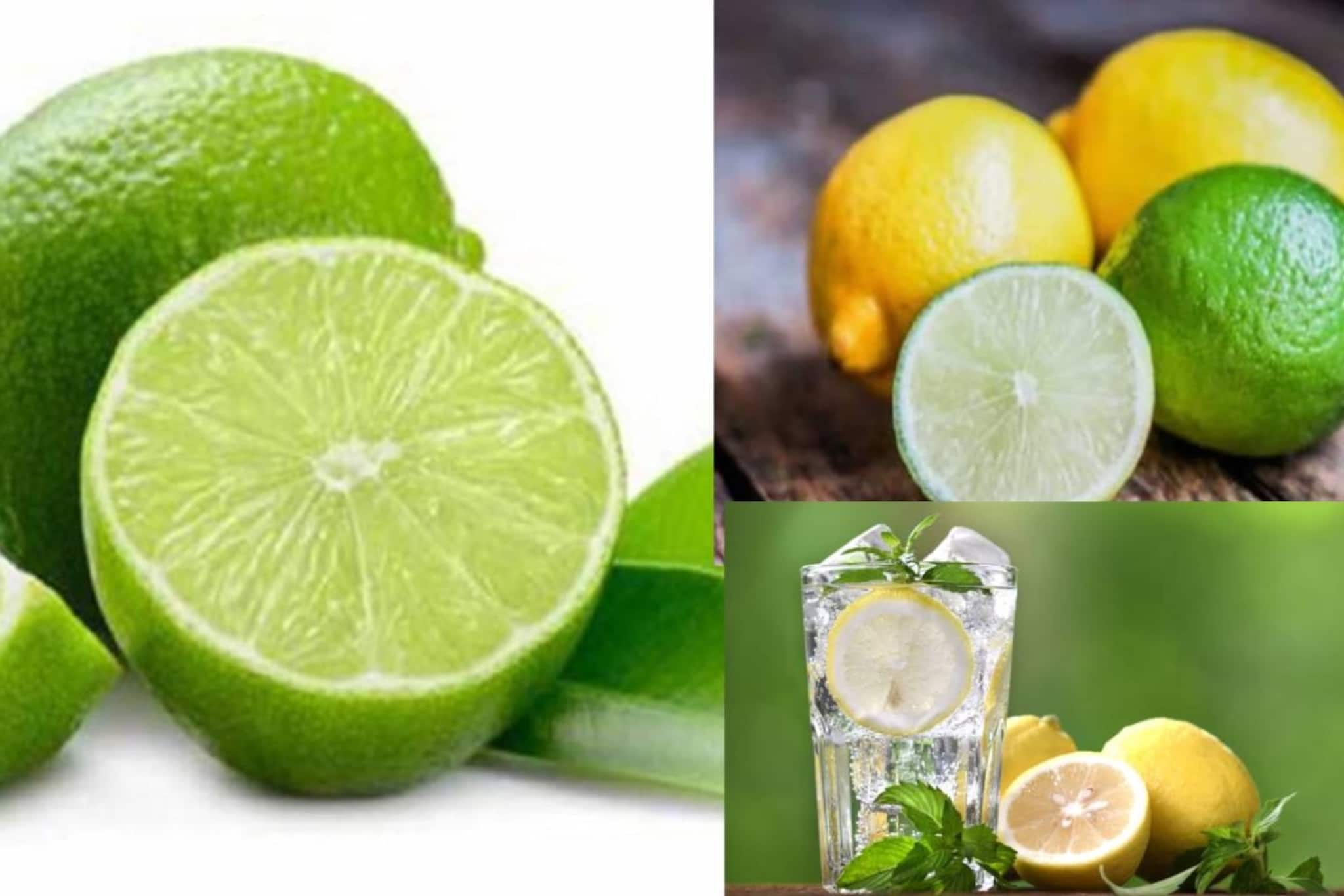 মাইগ্রেন, অ্যাসিডিটি, আলসার...আর কোন কোন রোগে লেবু খেলে ভয়ঙ্কর! জানুন কারা লেবু খাবেনই না
