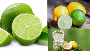 মাইগ্রেন, অ্যাসিডিটি, আলসার...আর কোন কোন রোগে লেবু খেলে ভয়ঙ্কর! জানুন কারা লেবু খাবেনই না মাইগ্রেন, অ্যাসিডিটি, আলসার...আর কোন কোন রোগে লেবু খেলে ভয়ঙ্কর! জানুন কারা লেবু খাবেনই না