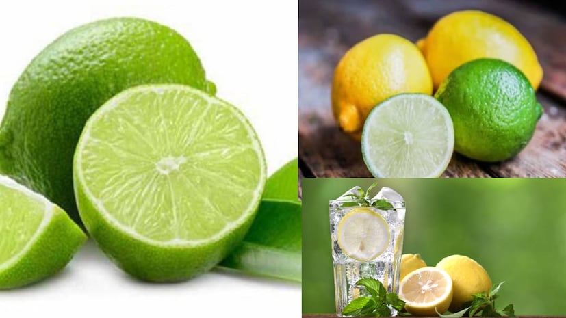 লেবুর অত্যধিক ব্যবহার অ্যাসিডিটি, পেটের জ্বালা, দাঁতের সংবেদনশীলতা, গলা ব্যথা এবং মাইগ্রেন বৃদ্ধি করতে পারে। লেবুতে উচ্চ সাইট্রিক অ্যাসিডের পরিমাণ খালি পেটে বা অ্যাসিড রিফ্লাক্সে আক্রান্তদের জন্য ক্ষতিকারক হতে পারে। লেবুর অত্যধিক ব্যবহার অ্যাসিডিটি, পেটের জ্বালা, দাঁতের সংবেদনশীলতা, গলা ব্যথা এবং মাইগ্রেন বৃদ্ধি করতে পারে। লেবুতে উচ্চ সাইট্রিক অ্যাসিডের পরিমাণ খালি পেটে বা অ্যাসিড রিফ্লাক্সে আক্রান্তদের জন্য ক্ষতিকারক হতে পারে।