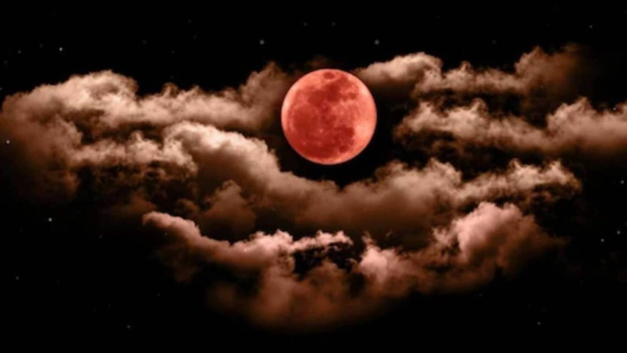 Chandragrahan on Dolpurnima Astro Eating Tips: আজ দোলপূর্ণিমায় পূর্ণগ্রাস চন্দ্রগ্রহণ! একটু হলেও মুখে দিন এই সবজি! টের পাবেন না অভাব! সংসারে অর্থসুখ, শান্তি, শ্রী ও সৌভাগ্যে