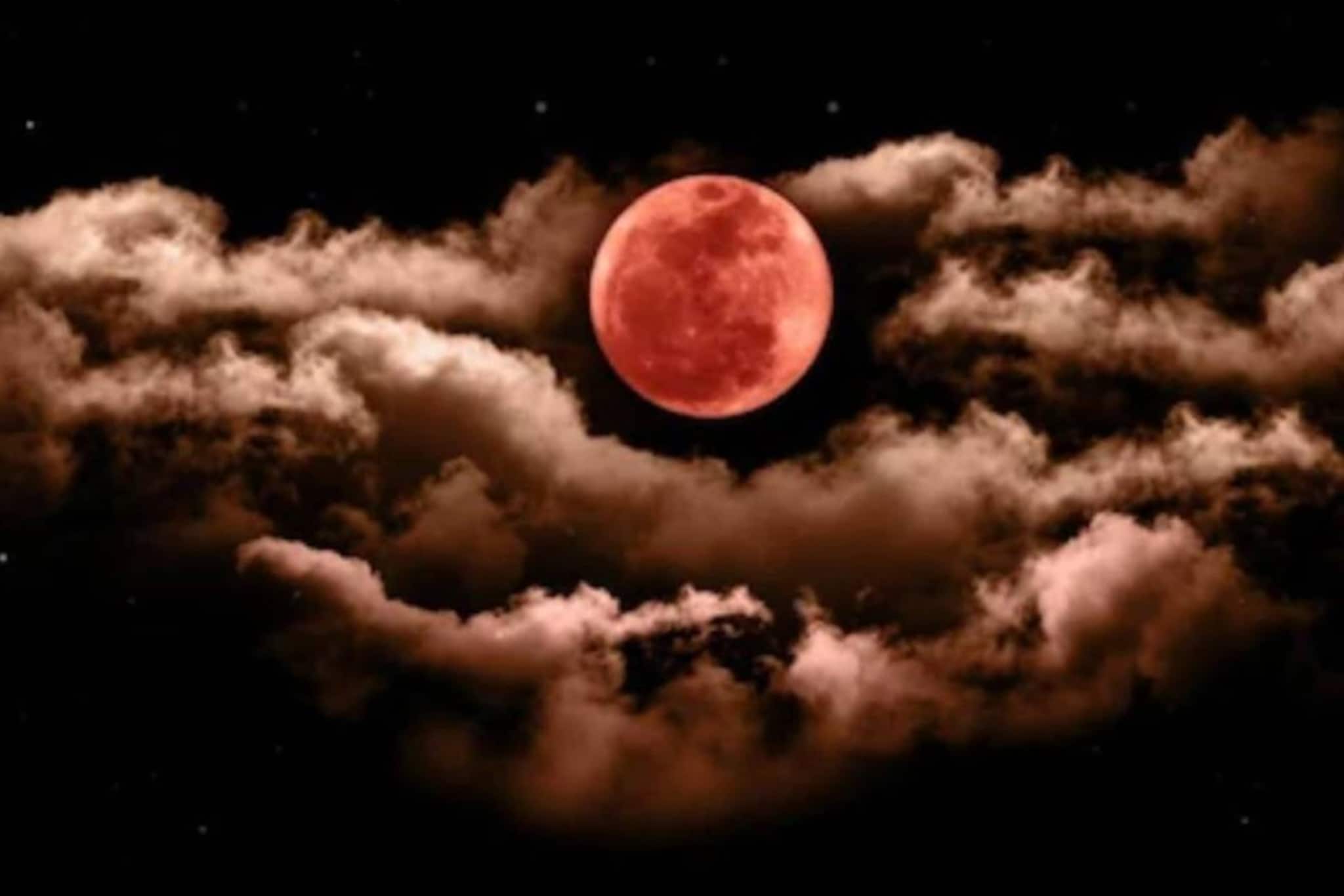 দোলপূর্ণিমায় চন্দ্রগ্রহণ! একটু হলেও খান এই সবজি! টের পাবেন না অভাব! সংসারে অর্থসুখ,শান্তি দোলপূর্ণিমায় চন্দ্রগ্রহণ! একটু হলেও খান এই সবজি! টের পাবেন না অভাব! সংসারে অর্থসুখ,শান্তি