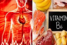 Heart Health: ম্যাগনেসিয়াম-পটাশিয়ামের আড়ত! বাজারে অঢেল চরম সস্তা এই ফলই হৃদরোগের হাতিয়ার! জব্দ বদহজম