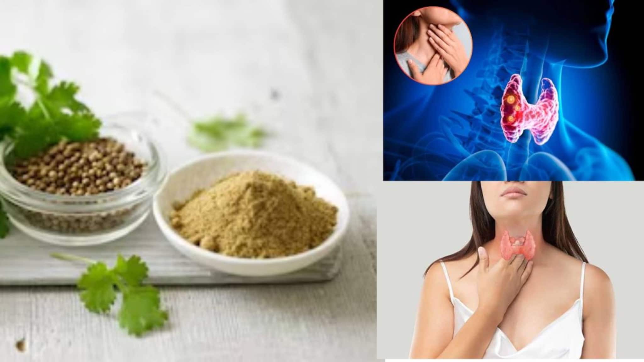 Coriander to control Thyroid: ১ চামচ ধনেদানা খান এভাবে...থাইরয়েড পালাবে আপনাকে ছেড়ে! সারবে বদহজম, শরীর হবে বিষমুক্ত!