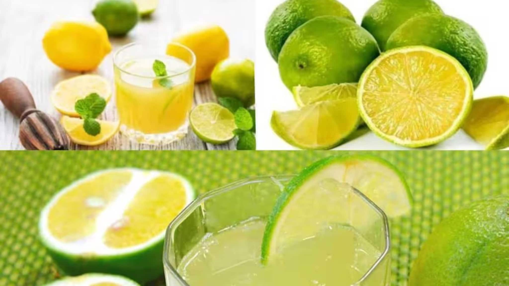Sweet Lime Buying Tips: মুসাম্বি কি রসে টইটম্বুর নাকি শুকনো? কেনার আগেই বুঝে যান এই বিশেষ ‘চিহ্ন’ দেখে! ফলের দোকানে গিয়ে আর ঠকবেন না!