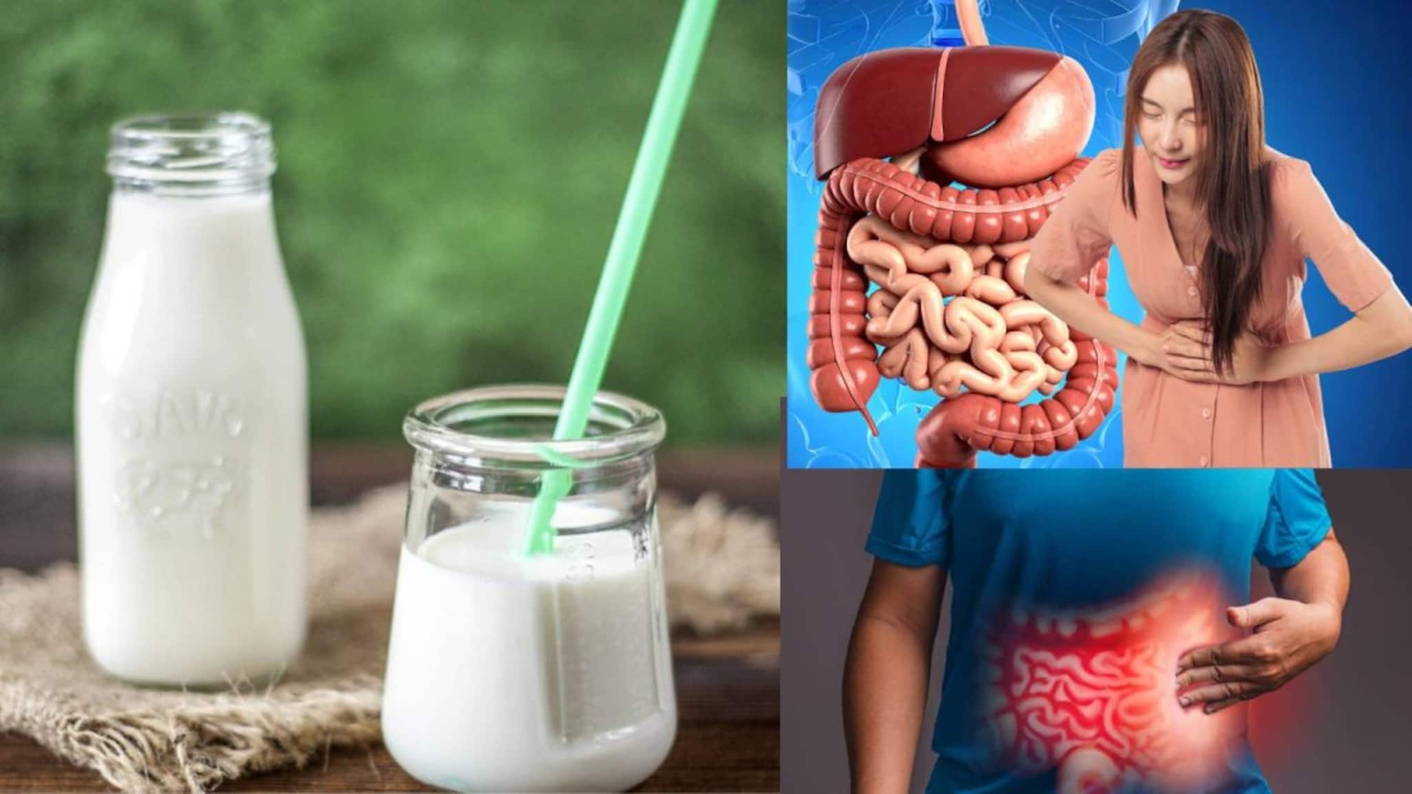 Stomach TB causing Milk: জীবাণু কিলবিল! ‘এই’ দুধ ক্ষতির আড়ত! গলায় ঢাললেই পেটে গিয়ে ছড়াবে যক্ষ্মা! ভুলেও খাবেন না! এখনই সাবধান হয়ে যান!