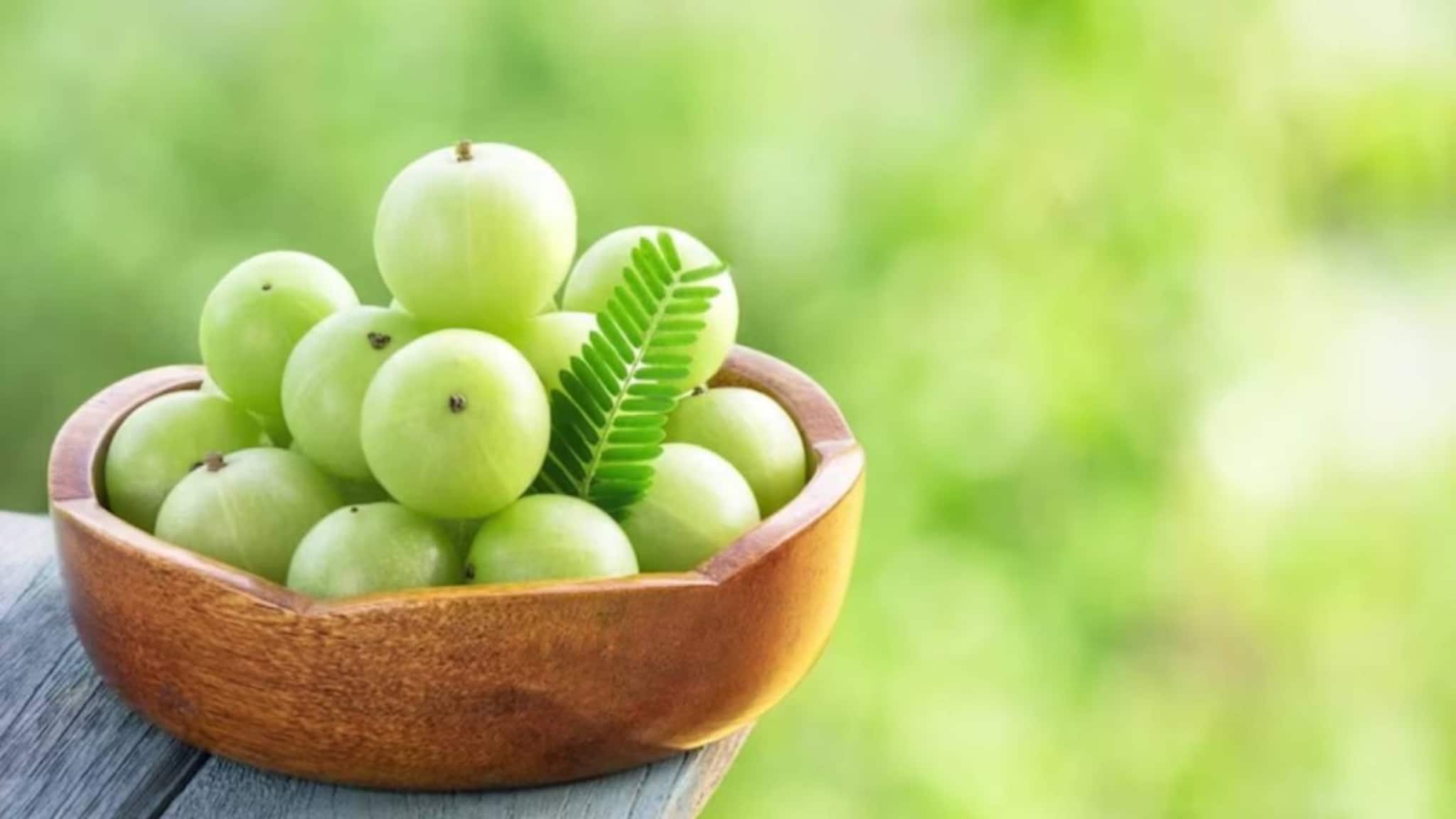 Amla Side Effects: ক্ষতির গুদাম! উপকারী আমলকি এই ৬ জনের জন্য চরম বিপজ্জনক! পেটে গেলেই বারোটা বাজবে শরীরের! Amla Side Effects: ক্ষতির গুদাম! উপকারী আমলকি এই ৬ জনের জন্য চরম বিপজ্জনক! পেটে গেলেই বারোটা বাজবে শরীরের!