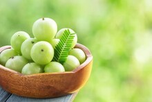 Amla Side Effects: ক্ষতির গুদাম! উপকারী আমলকি এই ৬ জনের জন্য চরম বিপজ্জনক! পেটে গেলেই বারোটা বাজবে শরীরের!