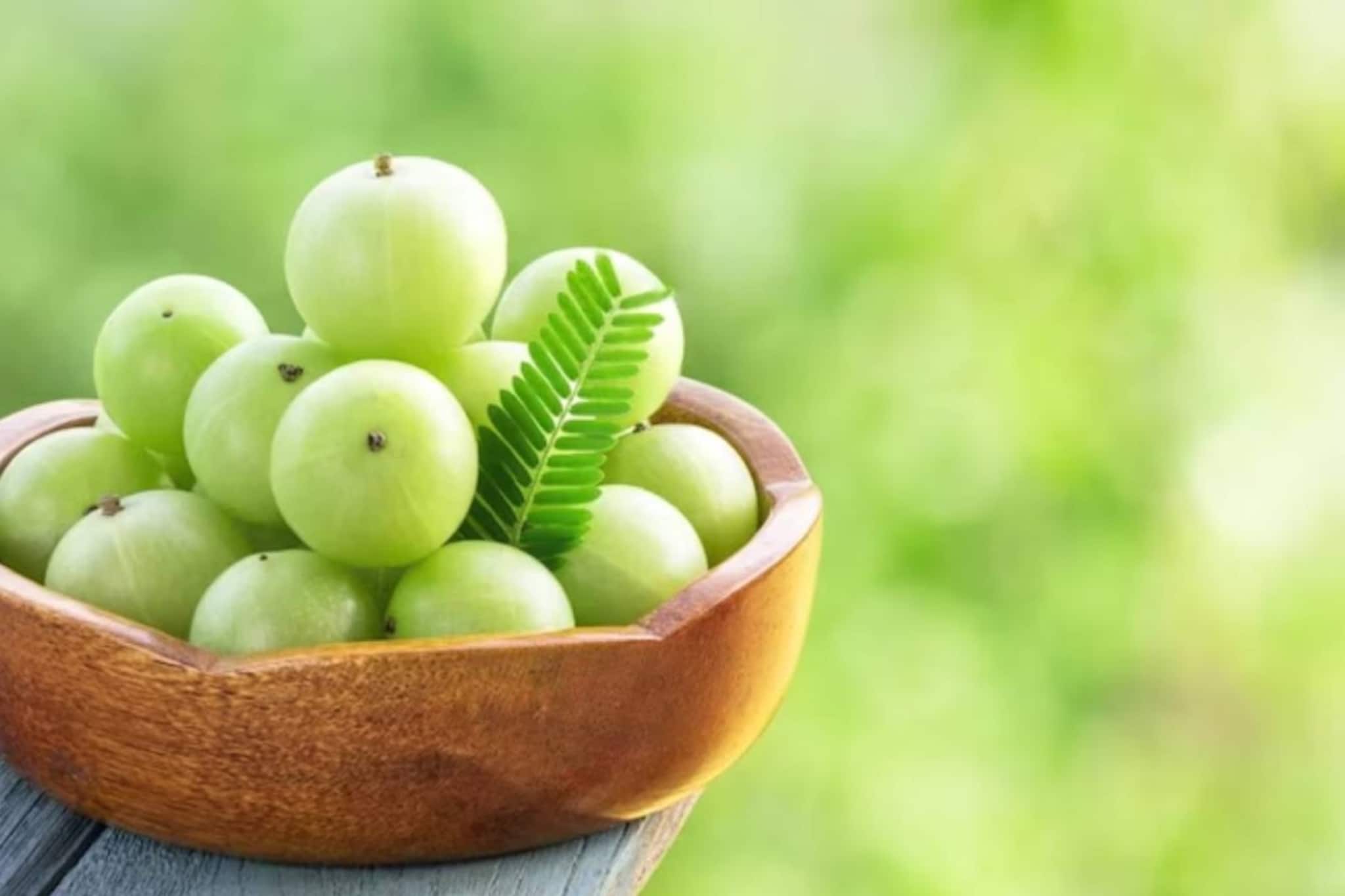 ক্ষতির গুদাম! উপকারী আমলকি এই ৬ জনের জন্য চরম বিপজ্জনক! পেটে গেলেই বারোটা বাজবে শরীরের!