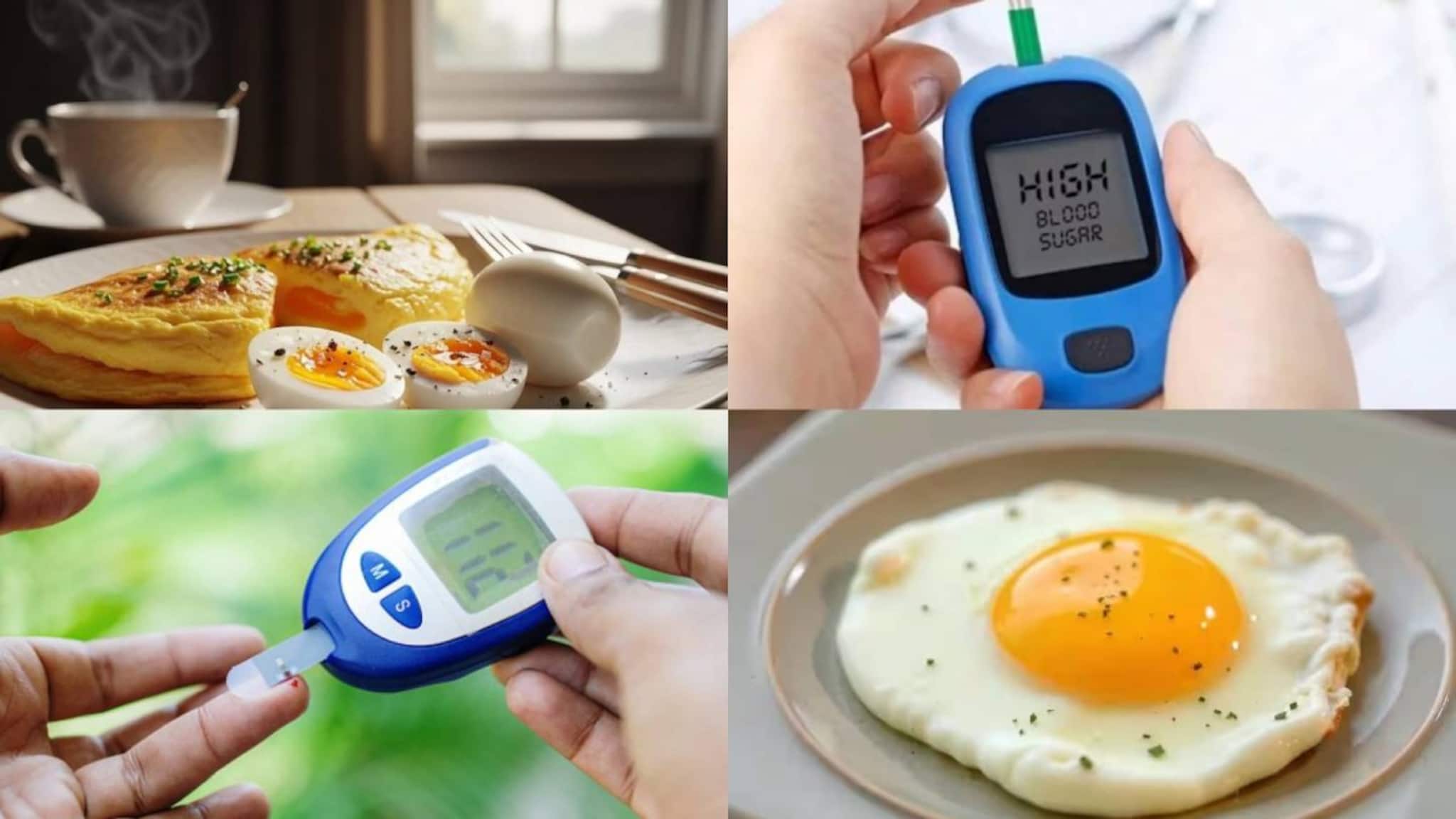 Eggs in Blood Sugar: ডায়াবেটিসে ডিম খেলে চড়চড়িয়ে বাড়ে ব্লাড সুগার? রোজ ক’টা ডিম খেতে পারেন ডায়াবেটিক রোগীরা? জানুন