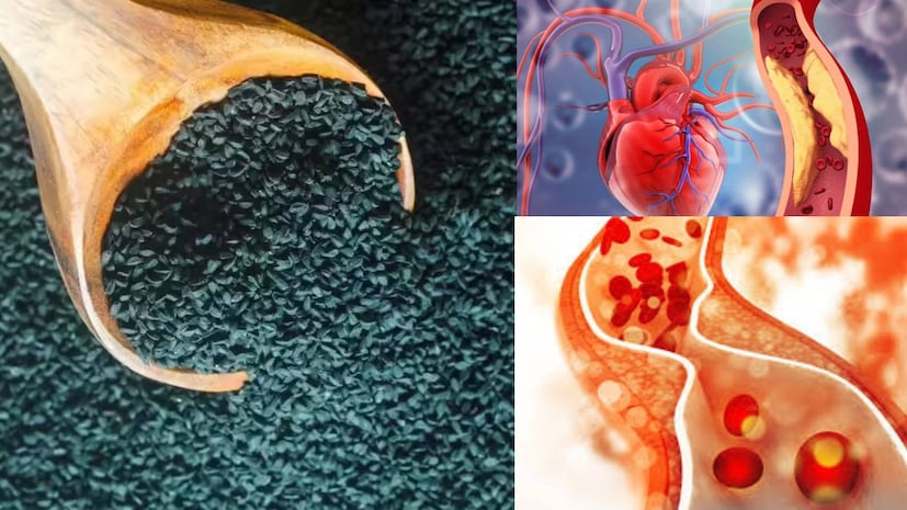 আয়ুর্বেদে অনেক প্রাকৃতিক উপাদানের কথা উল্লেখ করা হয়েছে যা শরীরকে ভেতর থেকে শক্তিশালী করে। এর মধ্যে একটি হল নাইজেলা বীজ। এই ছোট, কালো বীজগুলি সাধারণ মনে হতে পারে, তবে এগুলিতে প্রচুর পুষ্টি রয়েছে। আয়ুর্বেদে অনেক প্রাকৃতিক উপাদানের কথা উল্লেখ করা হয়েছে যা শরীরকে ভেতর থেকে শক্তিশালী করে। এর মধ্যে একটি হল নাইজেলা বীজ। এই ছোট, কালো বীজগুলি সাধারণ মনে হতে পারে, তবে এগুলিতে প্রচুর পুষ্টি রয়েছে।