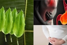 Acidity & Constipation: অম্বল, কোষ্ঠকাঠিন্যের দফারফা! ঋতুস্রাবের কষ্টে আরাম! এই মশলার সর্বরোগহরা পাতায় শরীর থেকে সাফ বিষাক্ত জিনিস