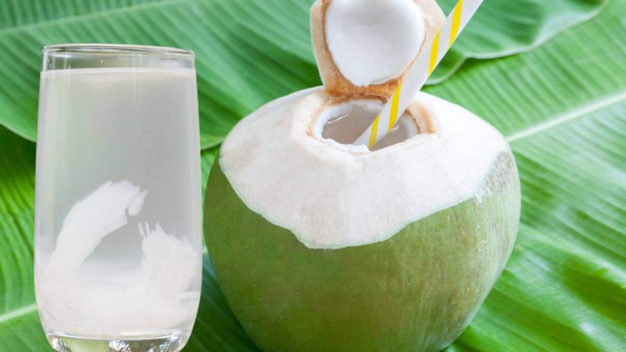 Green Coconut Water: কারা ডাবের জল খেলেই শরীরের বড় ক্ষতি? কাদের উপকার? দিনের কখন খেলে কোন কোন রোগ সারবে? জানুন