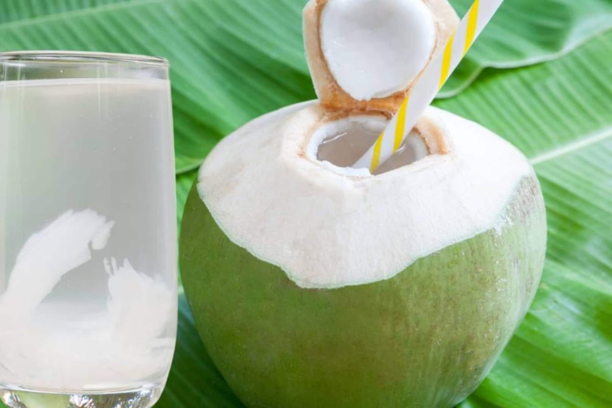 কারা ডাবের জল খেলেই শরীরের বড় ক্ষতি? কাদের উপকার? দিনের কখন খেলে কোন কোন রোগ সারবে? জানুন