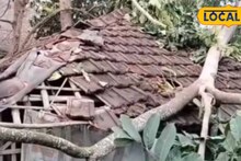 Kalbaisakhi Impact: সুন্দরবন ও সীমান্ত এলাকায় কালবৈশাখীর তাণ্ডব! বাসন্তী হাই রোডের উপর গেট ভেঙে বিপত্তি, হাসনাবাদে উড়ে গেল ঘরের চাল