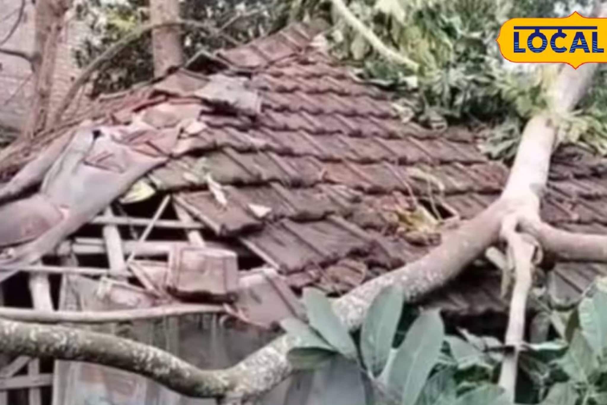 বছরের প্রথম কালবৈশাখীর তাণ্ডব! লন্ডভন্ড সুন্দরবন ও সীমান্ত এলাকা