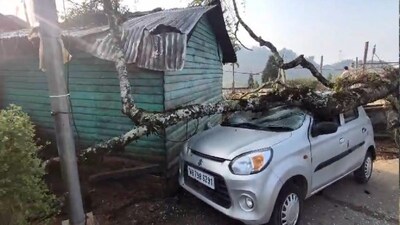 ঝড়ের দাপট উত্তরবঙ্গে