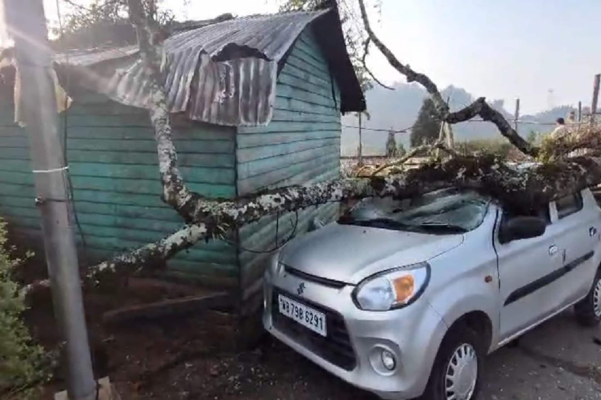 ঝড়ের দাপট উত্তরবঙ্গে,শিলিগুড়িতে গাছ উপড়ে বিপত্তি,মিরিকে গাছে চাপা পড়ল গাড়ি ঝড়ের দাপট উত্তরবঙ্গে,শিলিগুড়িতে গাছ উপড়ে বিপত্তি,মিরিকে গাছে চাপা পড়ল গাড়ি